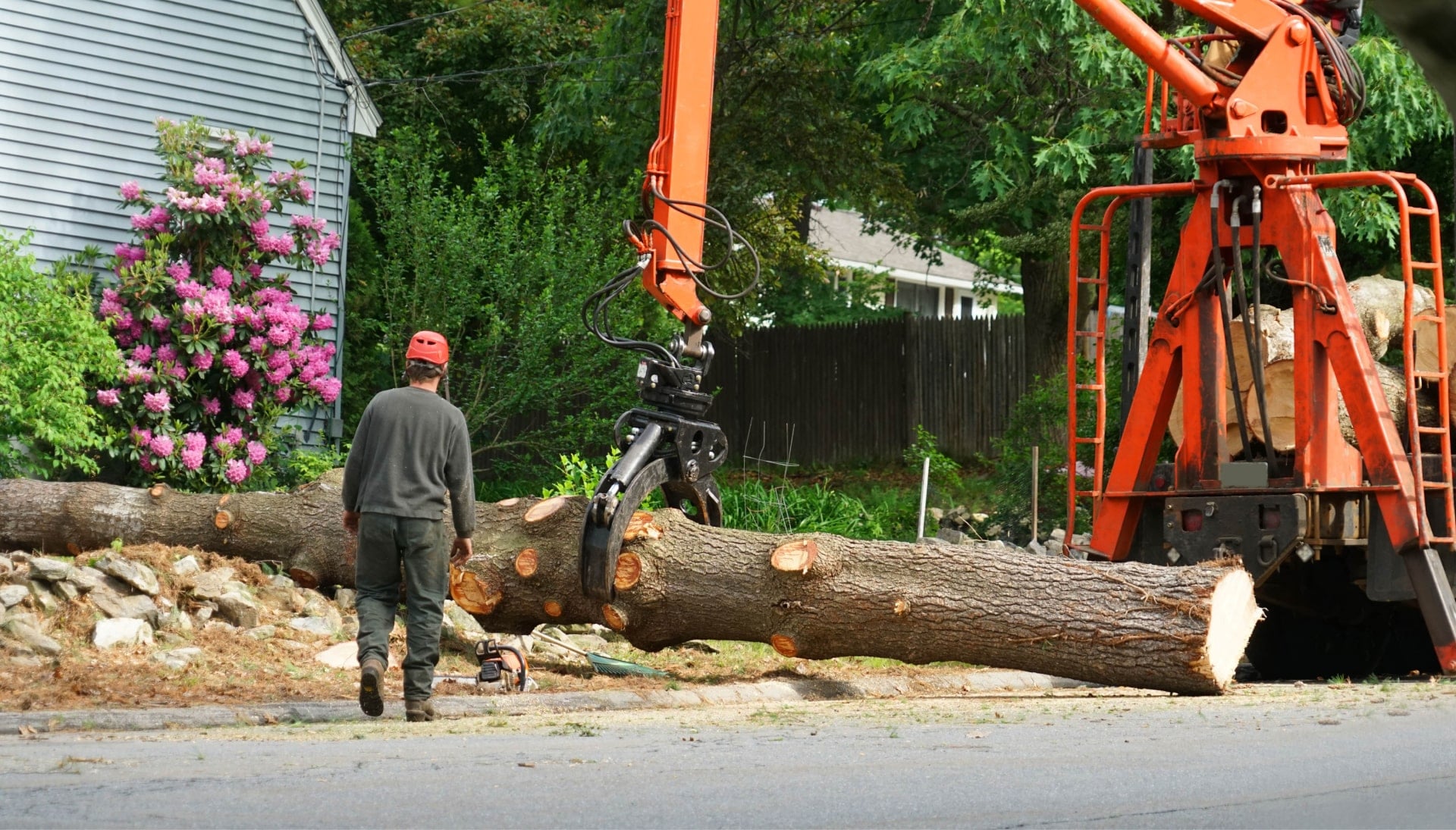 tree service hagerstown md